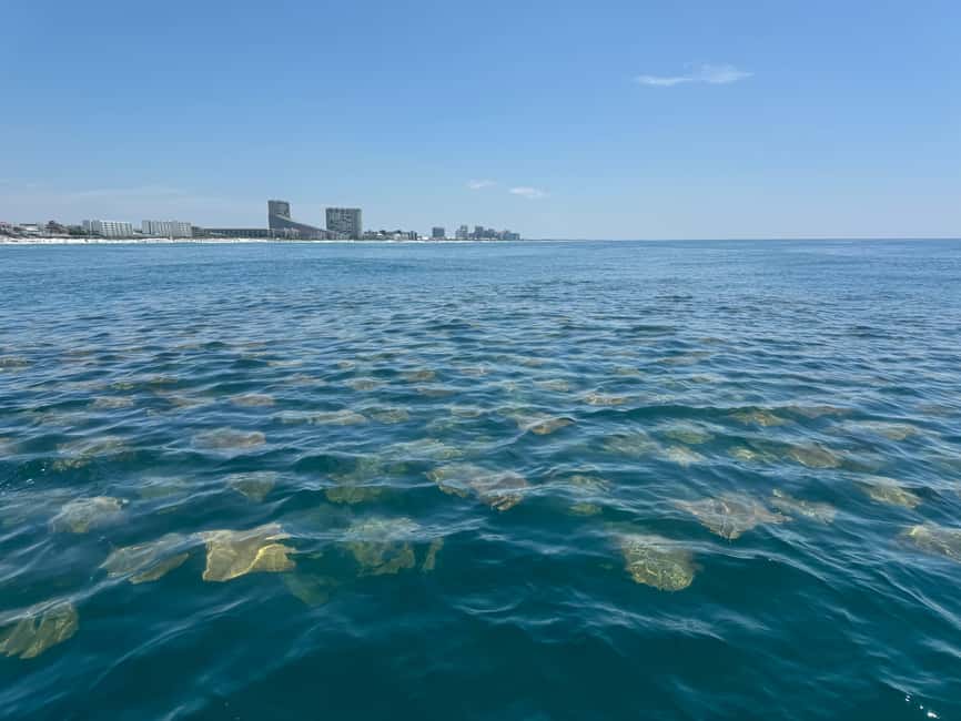 Fort Lauderdale: Parasailing on Fort Lauderdale Beach - From boat slip to 400-foot views: what the experience feels like