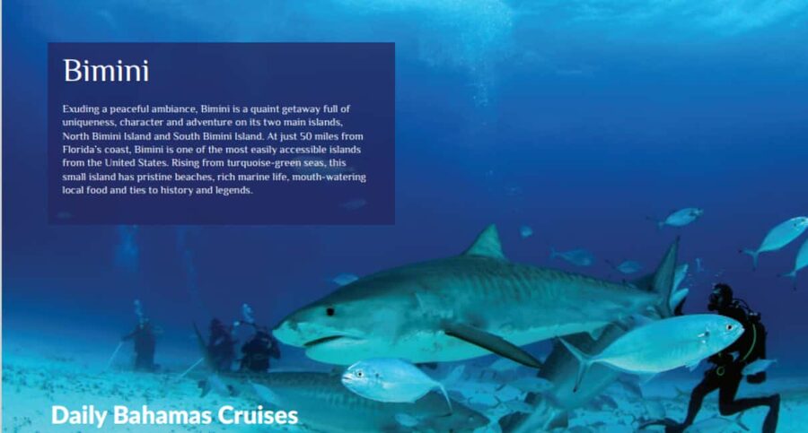 From Fort Lauderdale: Bimini Island Day Trip by Ferry - Small Planning Tips That Make a Big Difference