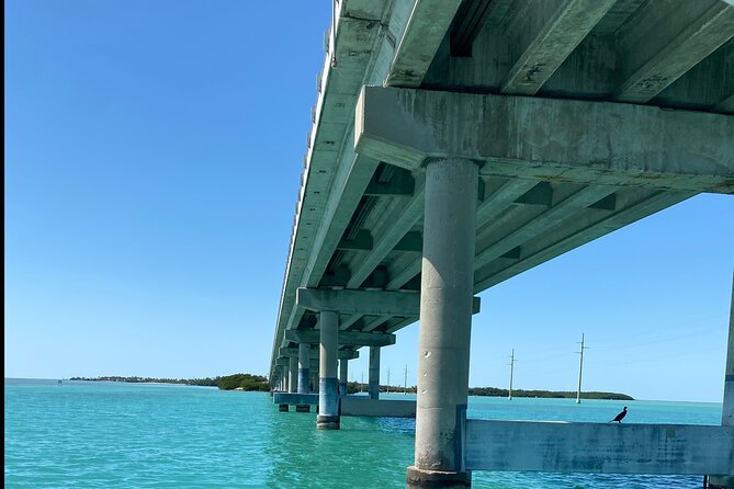 Ft Lauderdale to Islamorada Tour with Boat Ride and Lunch - Who should book this day trip, and who might want alternatives