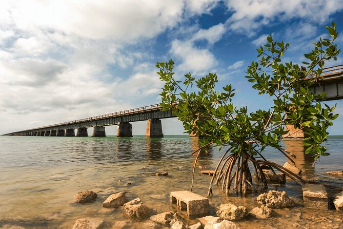 Ft. Lauderdale to Key West Day Trip Quality Day Tours - Road stops before Key West: Key Largo, Islamorada, Marathon