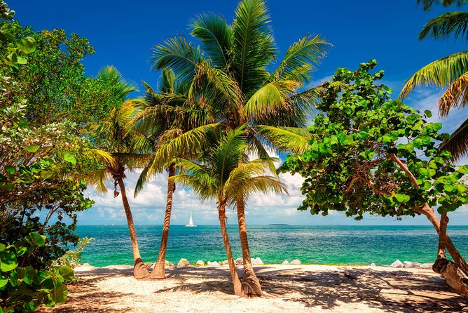 Ft Lauderdale to Key West with Optional Activities - Key West for about six hours: classic hits you can actually enjoy