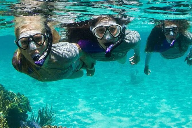 Guided Reef Snorkeling Tour in Pompano Beach - Key highlights at a glance