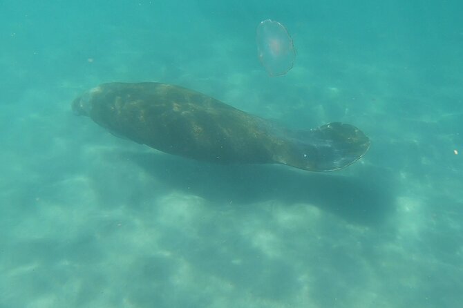 Guided Reef Snorkeling Tour in Pompano Beach - Small practical tips so your tour feels smooth