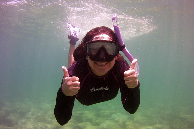 Guided Snorkel Experience in Fort Lauderdale - Key things to know before you go