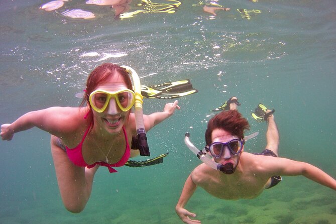Guided Snorkel Experience in Fort Lauderdale - Optional Photos: Pro-Looking Reef Keepsakes Without Extra Stress