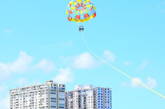 High Life Parasail - Wildlife Spotting From Above (Yes, This Is the Point)