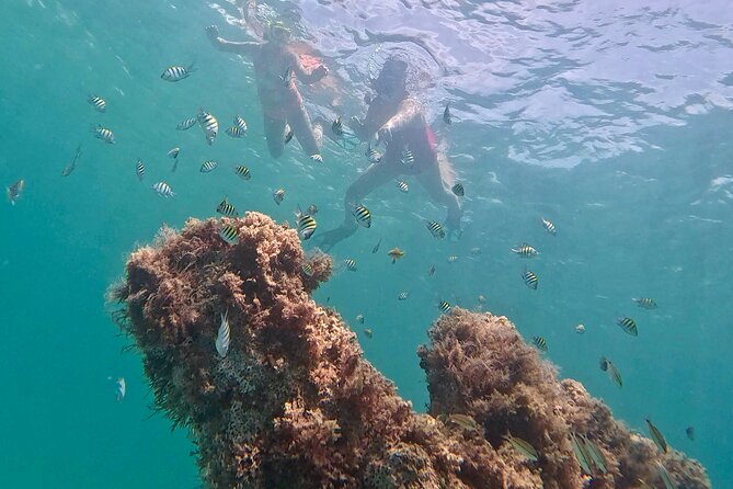 Hollywood Snorkel, Kayak & Paddleboard with Reefs and Sculptures - Meet Camila and Thiago: The Small-Group Host Team You Want