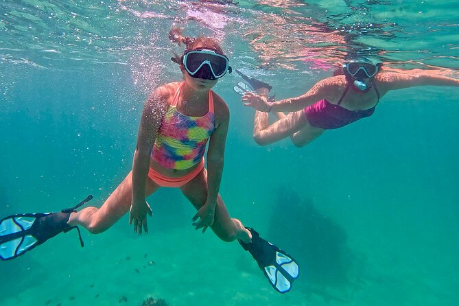 Hollywood Snorkel, Kayak & Paddleboard with Reefs and Sculptures - Paddleboard vs Kayak: Which One Fits Your Day?
