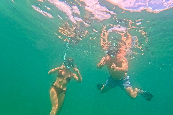 Hollywood Snorkel, Kayak & Paddleboard with Reefs and Sculptures - Gear and Safety Details That Make It Comfortable