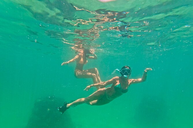 Hollywood Snorkel, Kayak & Paddleboard with Reefs and Sculptures - Price and Value: What $89 Buys You in Real Terms