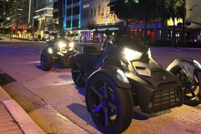 Hookah Bus Tour/Hard Rock Casino/Las Olas Ft. Lauderdale/Wynwood - Wynwood: ending in the artsy-energy zone (and why that matters)