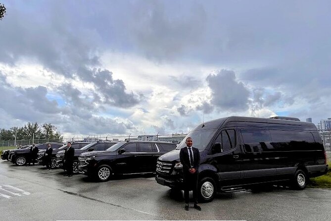 Hotel Transfer To or From Miami Intl Airport & Port of Miami - The Small Print That Matters: Mobile Ticket, Animals, and Weather