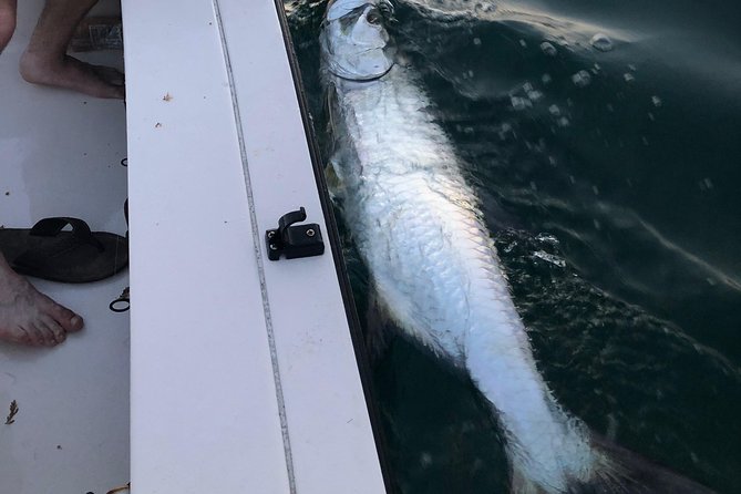 Inshore Sport Fishing with Local Guide - Price and value: $600 per group for up to 3 anglers