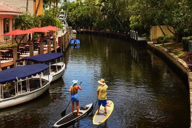 Kayak Rental: Explore Mangroves and Self-Navigated River Eco Paddle - Practical Tips That Make Your Hour Feel Longer