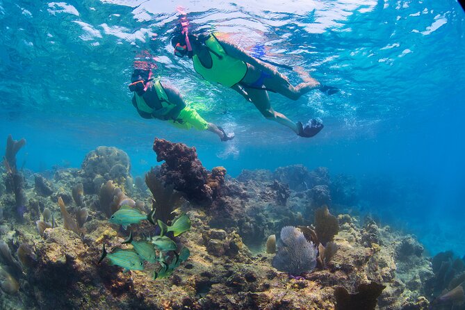 Key West Sail and Snorkel Day Trip from Fort Lauderdale - Snorkeling the Coral Reef: What You’re Actually Signing Up For