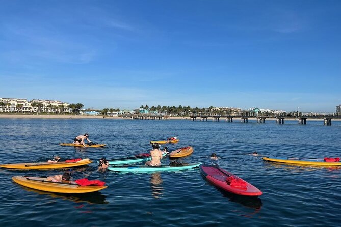 Lauderdale By The Sea Replicated Shipwreck & Reef Snorkel Trails - Guides matter more than you think