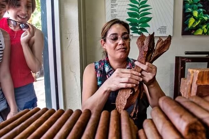Little Havana Walking Tour + 1 Hour Everglades Airboat Ride - Getting There: Wild Lime Adventures pickup, luggage storage, and drop-off