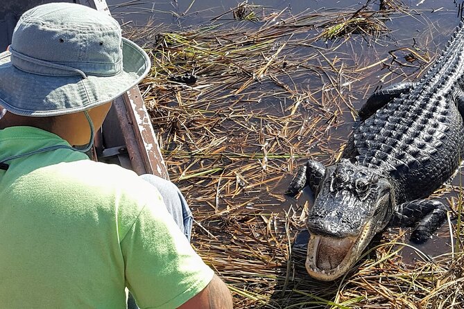 Little Havana Walking Tour + 1 Hour Everglades Airboat Ride - Havana Classic cigar stop: behind the scenes and Cuban coffee for everyone