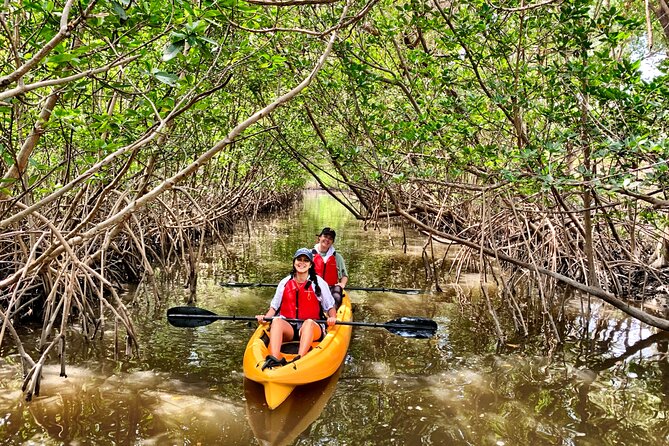 Mangrove Tunnel Kayak Eco Tour - Who this kayak tour fits best (and who should skip it)