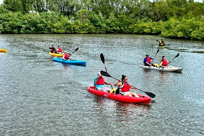Mangrove Tunnel Kayak Eco Tour - Getting there from Fort Lauderdale: the meeting point you should plan for
