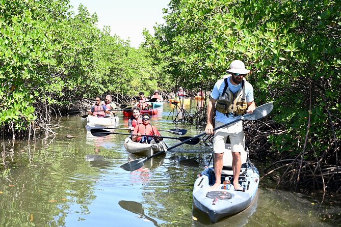 Mangrove Tunnel Kayak Eco Tour - The real value: why this is a solid deal for an eco paddle
