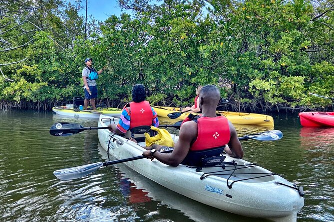 Mangrove Tunnel Kayak Eco Tour - What’s included in the $75: gear, water, photos, and a real guide