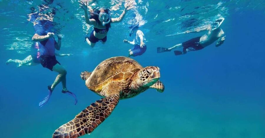 Ocean Reef Snorkeling and Paddleboarding - Paddle out to the snorkeling zone: why the ride counts