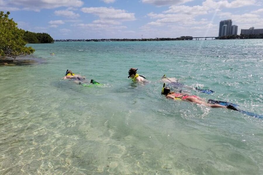 Ocean Reef Snorkeling and Paddleboarding - What the 2.5 hours feels like, step by step