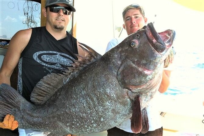 Private 4-Hour Big Game Deep Sea Fishing Charter in Fort Lauderdale - Private big-game charter: what makes this day different