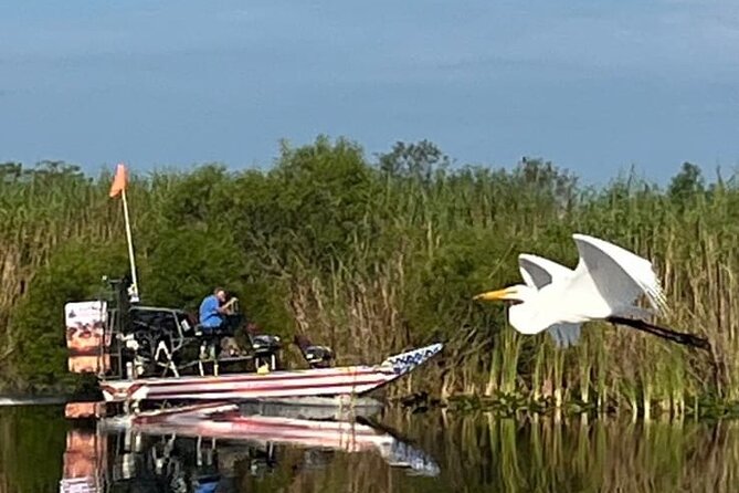 Private 90 Minutes Everglades Airboat Adventure - Wildlife Watching: Alligators, Birds, and Iguanas in Their Habitat