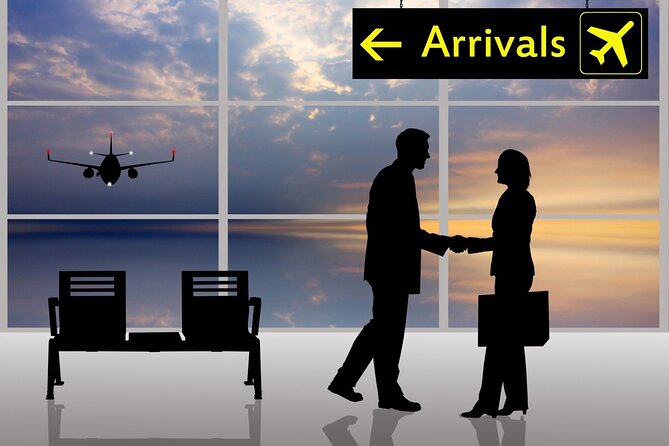 Private Transfer To or From Fort Lauderdale Airport & CruisePort - The Real-World Experience: Getting Off a Cruise and Moving Without Chaos
