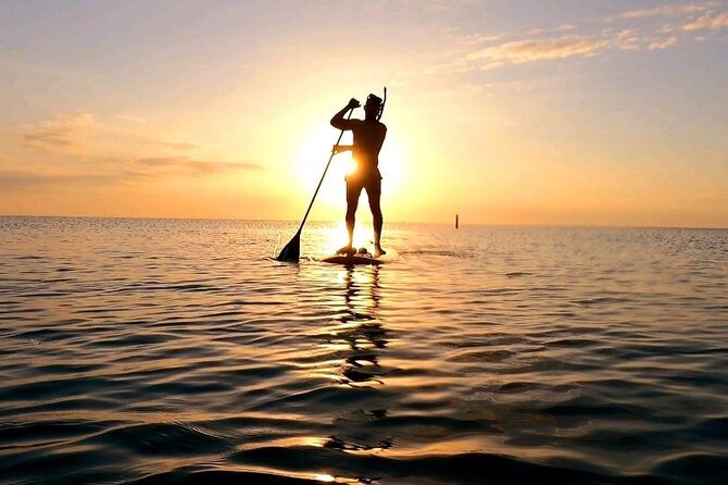 Reef Snorkel & Ocean Paddle Adventure in Fort Lauderdale Beach - The Drift Snorkel Over Coral and Marine Life