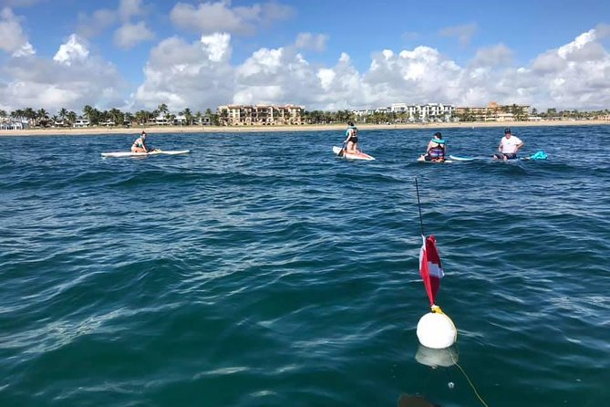 Reef Snorkel & Ocean Paddle Adventure in Fort Lauderdale Beach - The Stops You’ll Make Around the Coast