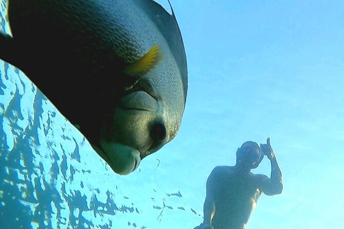 Reef Snorkel & Ocean Paddle Adventure in Fort Lauderdale Beach - Should You Book Sunrise Paddleboards’ Reef Snorkel & Ocean Paddle?