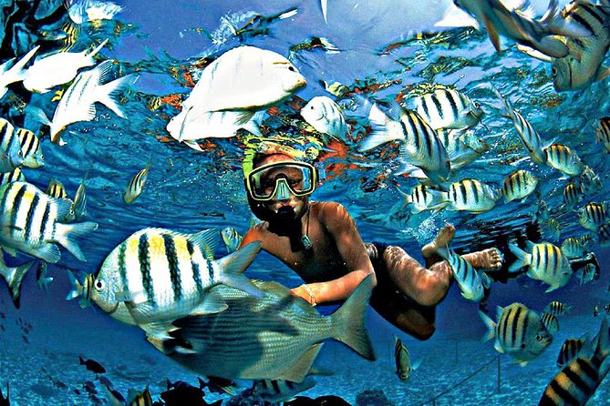 Reef Snorkel & Ocean Paddle Adventure in Fort Lauderdale Beach - Snorkeling Gear, Photos, and Staying Comfortable