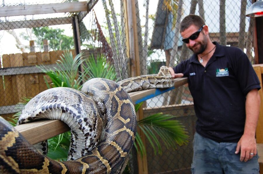Sawgrass Park: Private 1-Hour Airboat Adventure Tour - Day time vs night tour: pick the Everglades mood you want
