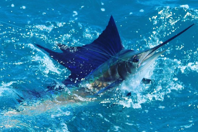 Shared BIG GAME Sportfishing Up To Six People - Crew energy, Adam and Nick, and the tipping reality