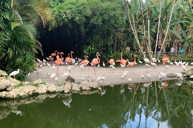 Skip the Line: Flamingo Gardens Admission Ticket in Fort Lauderdale - Skip-the-line mobile ticket at Flamingo Gardens: what you’ll actually do