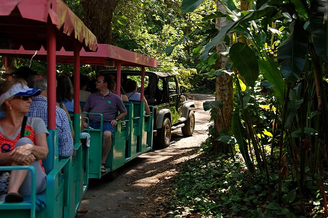 Skip the Line: Flamingo Gardens Admission Ticket in Fort Lauderdale - Wildlife presentations: learning from handlers instead of just watching animals