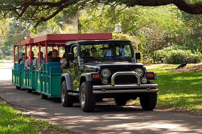 Skip the Line: Flamingo Gardens Admission Ticket in Fort Lauderdale - Wray House Museum: the 1933 roots behind all the green