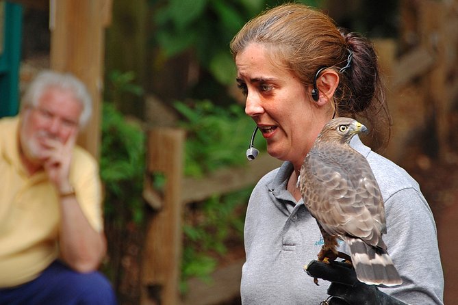 Skip the Line: Flamingo Gardens Admission Ticket in Fort Lauderdale - Food, breaks, and how to pace a 4-hour visit