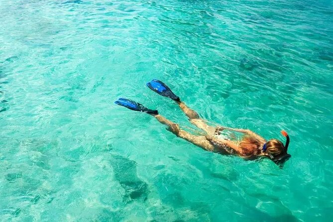 Snorkel Fort Lauderdale Jean Cousteaus Reef and Snorkel Trail - Key points I think you should know first