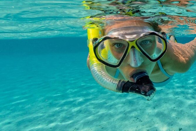 Snorkel Fort Lauderdale Jean Cousteaus Reef and Snorkel Trail - Jean Cousteau’s Trail Meets Modern Reef Work