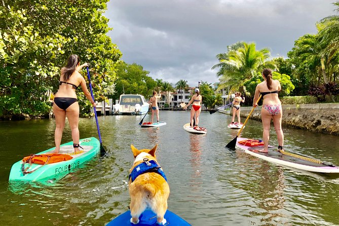 SUP PUP Paddleboard Tour - Key Things I’d Plan Around