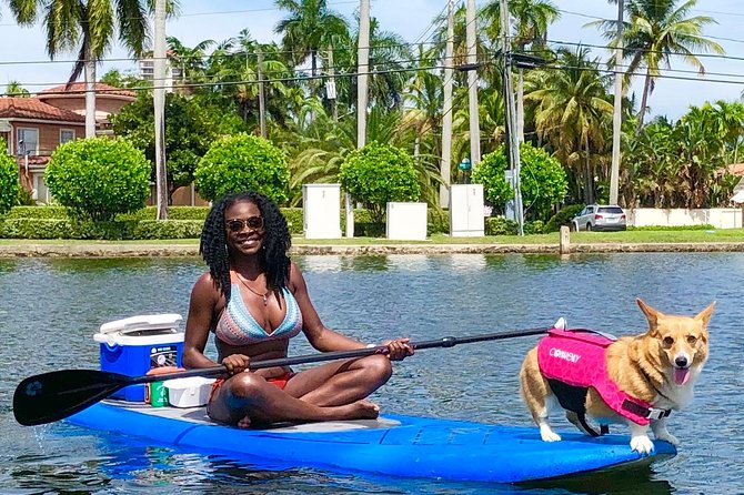 SUP PUP Paddleboard Tour - Photos After the Tour: How to Get Good Shots Without Stress