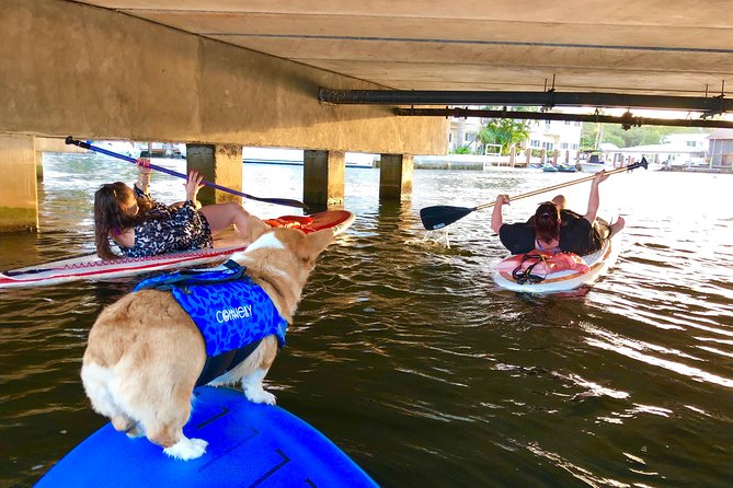 SUP PUP Paddleboard Tour - Group Size Matters: Why This Tour Feels Personal