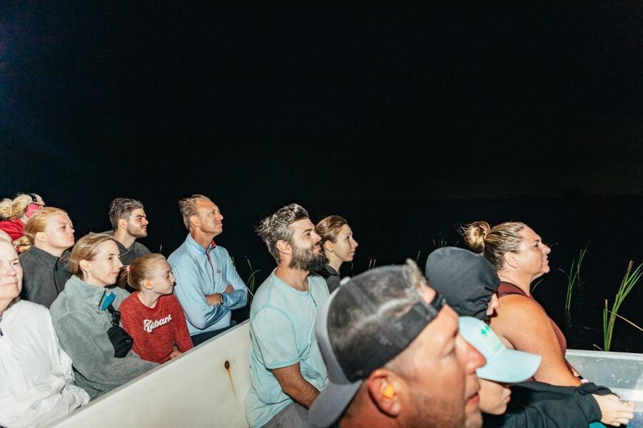 The Everglades: 1-Hour Airboat Night Tour - Skimming past sawgrass and cattails at speed: the ride experience