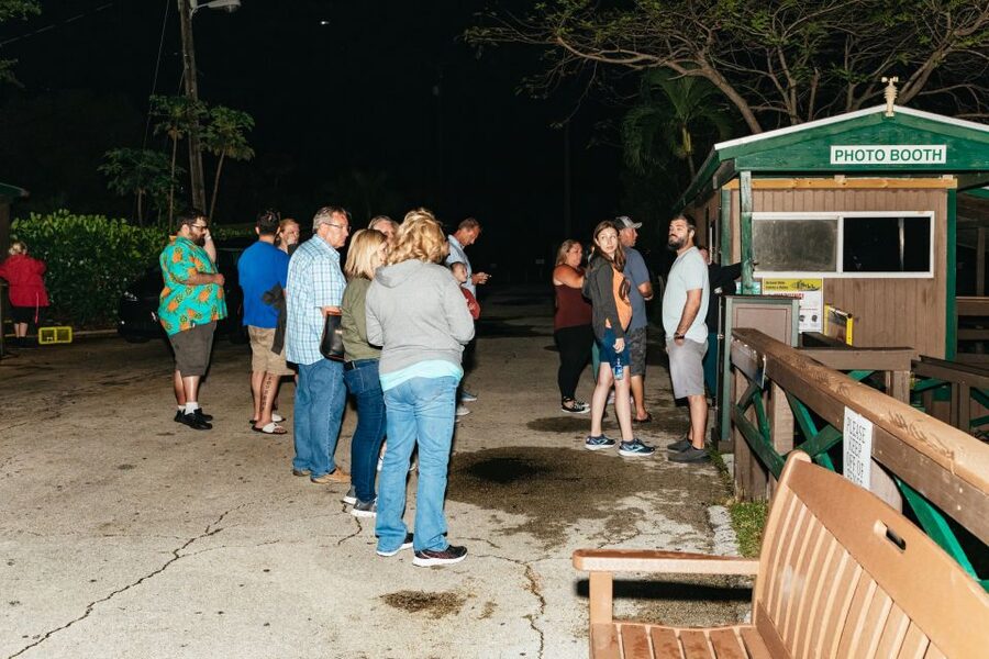 The Everglades: 1-Hour Airboat Night Tour - Price and value at $48: what’s really included
