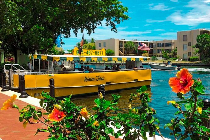 Water Taxi All Day hop-on hop-off Venice of America Boat Tour - An All-Day Pass That Feels Like Local Transit
